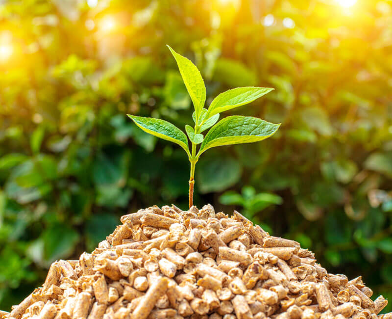 Biomass Pellet Illustration